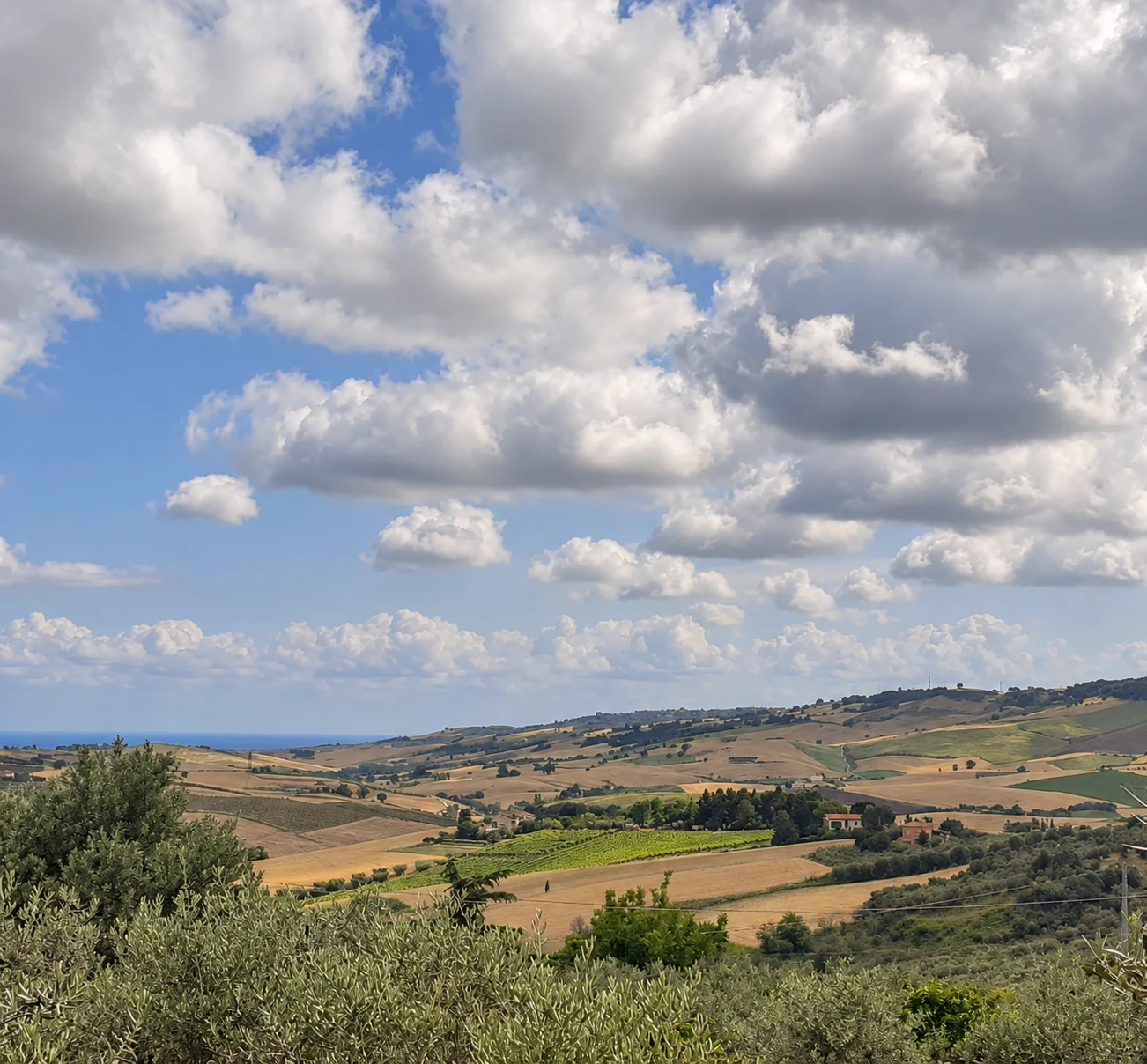 Panorama di colline e campi